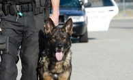 An Edina Police Department K-9 officer.