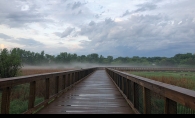 A photo of Nine Mile Creek submitted to the 2018 Images of Edina photo contest.