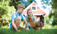 children with chicken