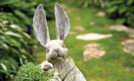 An Edina gardener makes peace with the Minnesota rabbit population. 