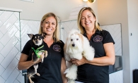 Ashley Mailatyar and Sharon Nguyen, the founders of Haute Dog Spa