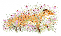 Pete Sandker's Half Healed, the featured watercolor painting at this year's Edina Art Fair, depicts a fox made of flowers.