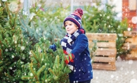 A child looks at a Christmas tree at Our Lady of Grace men's club Christmas tree lot.