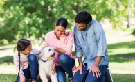 A family plays with their dog at an off leash dog park in Edina.