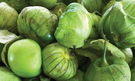 Tomatillos