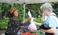 Vegetable stall at the Edina Farmers Market.