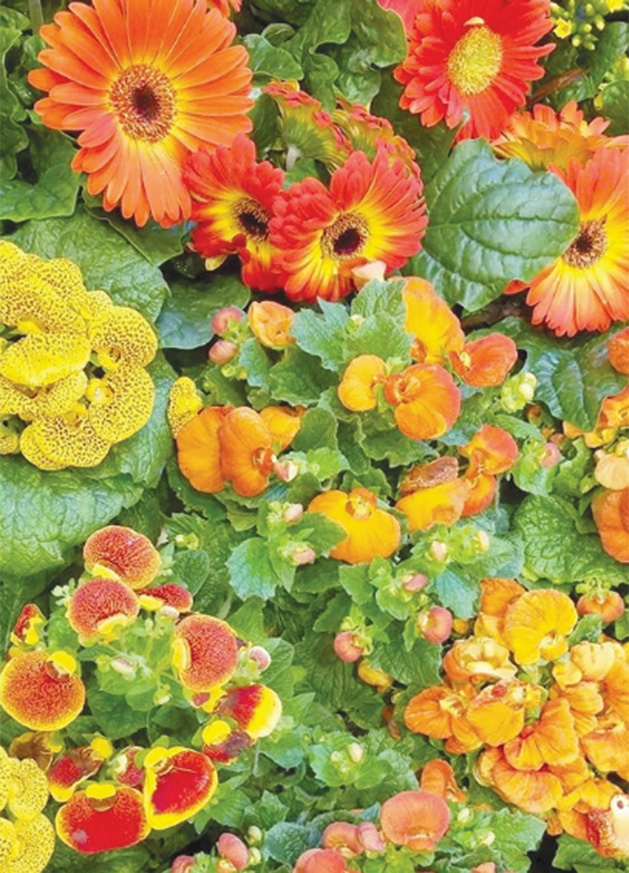 A flower display at the Galleria Garden Party