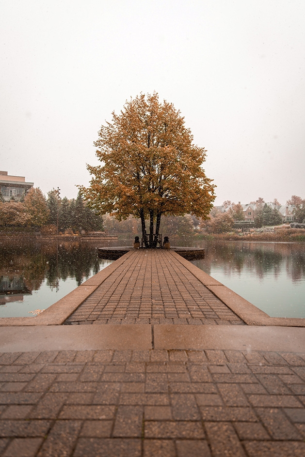 The fall colors at Centennial Lakes Park