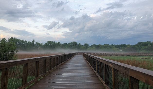 A photo of Nine Mile Creek submitted to the 2018 Images of Edina photo contest.