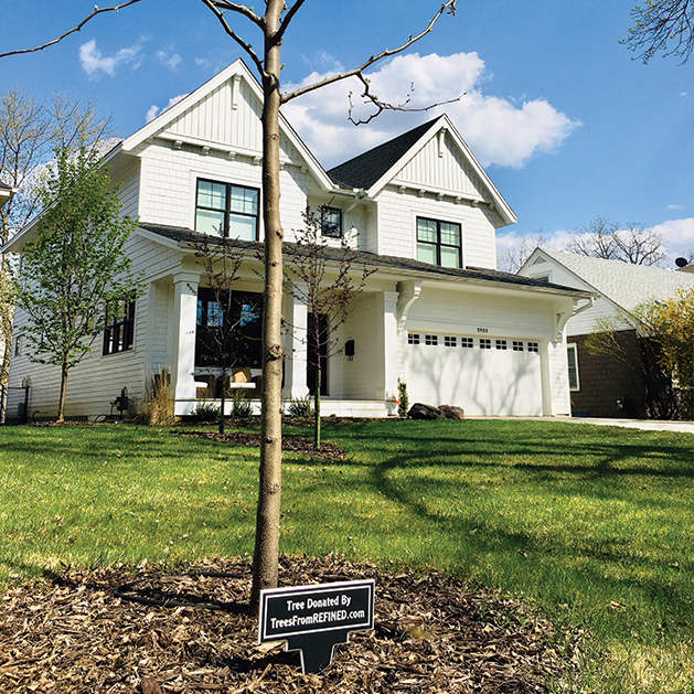 A tree donated by Trees From Refined sits in the yard of an Edina home.