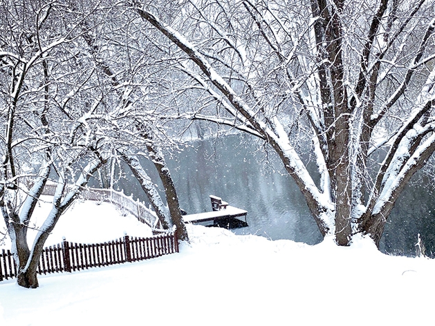 Snowy day in spring