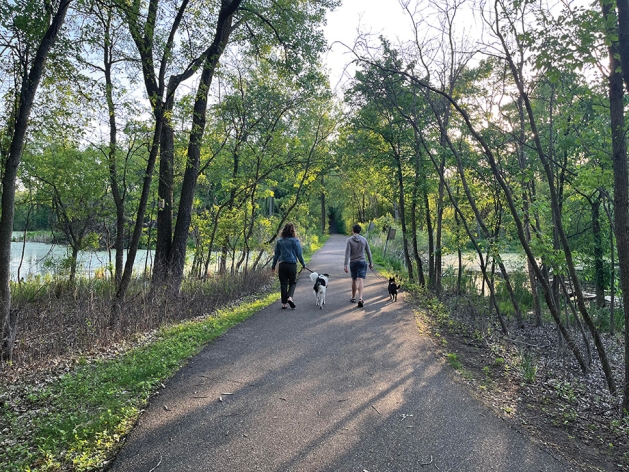 Two figures walking dogs at Rosland Park.