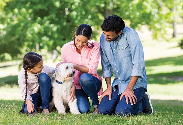 A family plays with their dog at an off leash dog park in Edina.