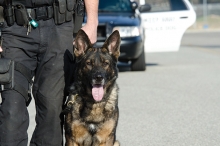 An Edina Police Department K-9 officer.