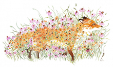 Pete Sandker's Half Healed, the featured watercolor painting at this year's Edina Art Fair, depicts a fox made of flowers.