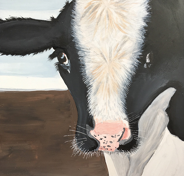 A cow portrait by Jackie Dummer