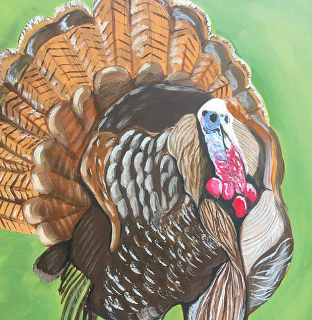 A portrait of a turkey.