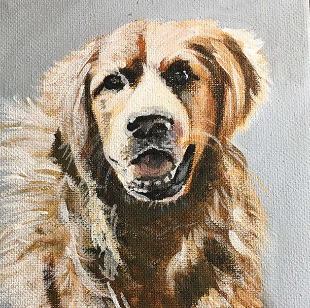 A portrait of a dog.